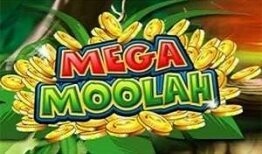 site casino site casino